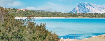 Hotele w pobliżu miejsca Plaża Cala Brandinchi