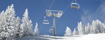 吉利斯利滑雪纜車（Grizzly Ski Lift）附近的飯店