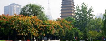 Hotéis perto de: Small Wild Goose Pagoda