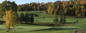 Hotels near Deerhurst Highlands Golf Course