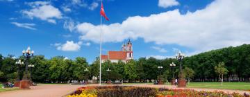 Hotels in de buurt van Lukiskes Square