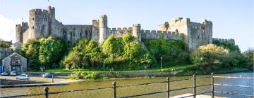 Hoteles cerca de Castillo de Pembroke