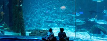 Акваріум Aquarium of the Americas: готелі поблизу