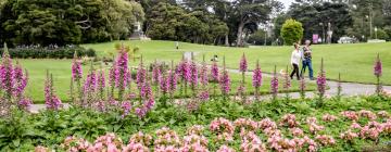 Hotels near Golden Gate Park