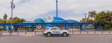 Hoteles cerca de SeaWorld San Diego