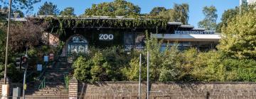 Edinburghin eläintarha – hotellit lähistöllä