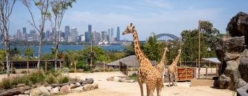 Taronga Zoo Sydney – hotely v okolí