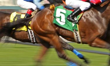 Hotéis perto de Kentucky Derby