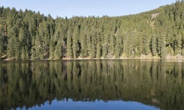 Mummelsee ežeras: viešbučiai netoliese