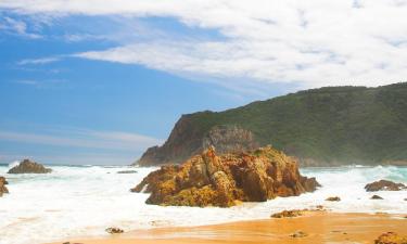 Hôtels près de : Têtes de Knysna