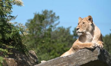 Hôtels près de : Zoo et parc d'attractions de Kristiansand