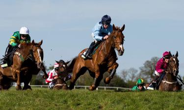 Hotéis perto de Hipódromo de Punchestown