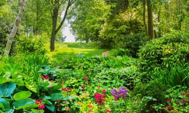 Hidcote Manor Garden -puutarha – hotellit lähistöllä