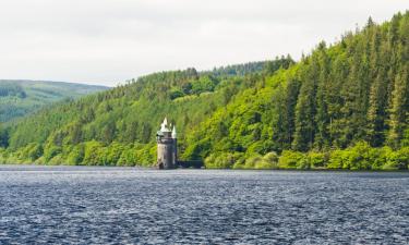 Vyrnwy Gölü yakınındaki oteller