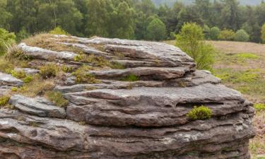 Dalby Forest – hotely poblíž