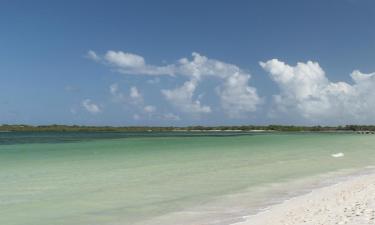 Hotels near Playa Grande