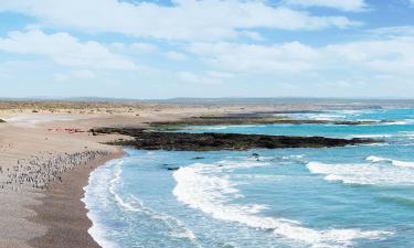 Hotéis perto de: Colônia de Pinguins Punta Tombo