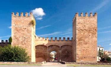 Centro Storico di Alcúdia: hotel