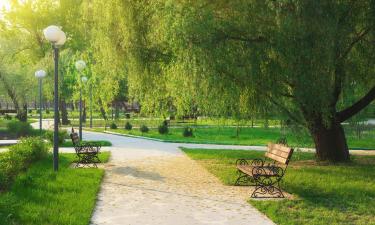 Hotéis perto de: Abu Khayal Garden Park