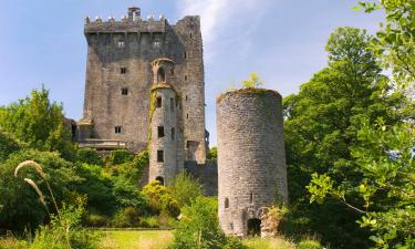 Blarney Şatosu yakınındaki oteller