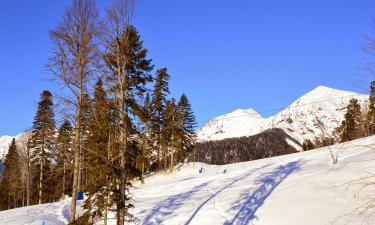 Hoteller nær Roza Khutor skianlegg