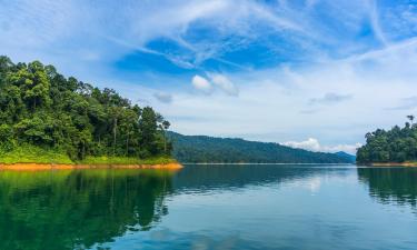 Hotel dekat Danau Kenyir