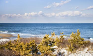 Hôtels près de : Plage de Nauset