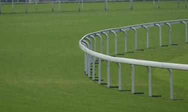 Hoteles cerca de Hipódromo de Kempton Park