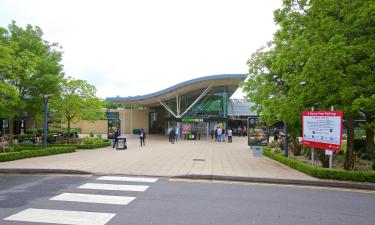 Oxford Services M41 – hotely v okolí