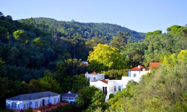 Hotels near Thermal Springs of Monchique