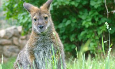 Hoteluri aproape de Grădina zoologică din Oklahoma City