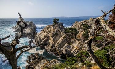 Hoteli u blizini znamenitosti Državni rezervat Point Lobos