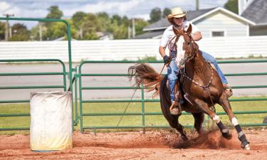 Hotels near Silver Spurs Arena