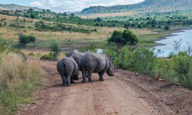 โรงแรมใกล้Pilanesberg National Park