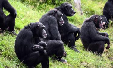 Hotel berdekatan dengan Zoo dan Muzium Hidup Tulsa