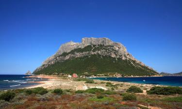 Hotéis perto de: Ilha de Tavolara