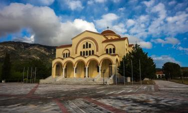 מלונות ליד Monastery of Agios Gerasimos