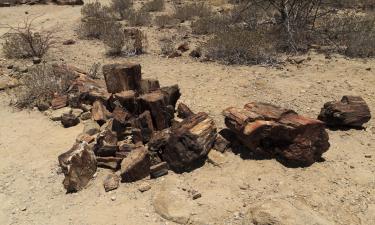 Viesnīcas netālu no apskates objekta nacionālais parks Petrified Forest