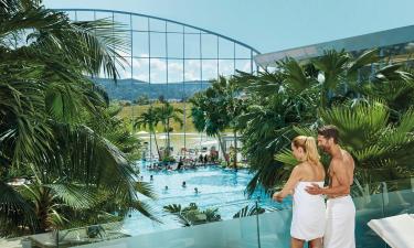 Therme Titisee-Neustadt: Hotels in der Nähe