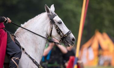 Hôtels près de : Festival de Störtebecker