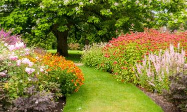 โรงแรมใกล้Wisley Garden