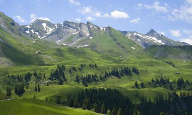 Hotels near Klewenalp