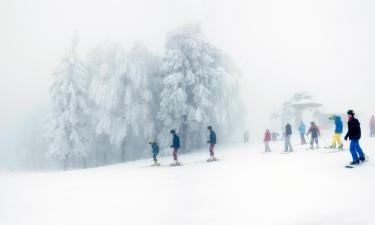 Ξενοδοχεία κοντά σε 13 Passo Del Lupo