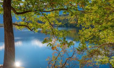 Hotels near Monticolo Lake