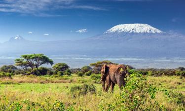 Amboseli národní park – hotely poblíž