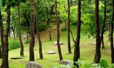 Namsan – hotely poblíž