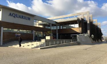 Aquarium de La Rochelle: hotel