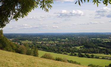 Hoteles cerca de Box Hill