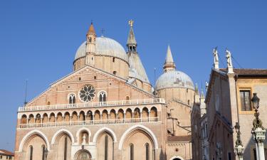 Hotel dekat Basilika Santo Antonius dari Padua