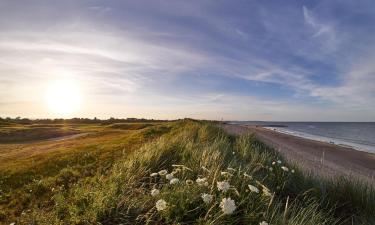 Prímorský rezort Rosslare Strand – hotely v okolí